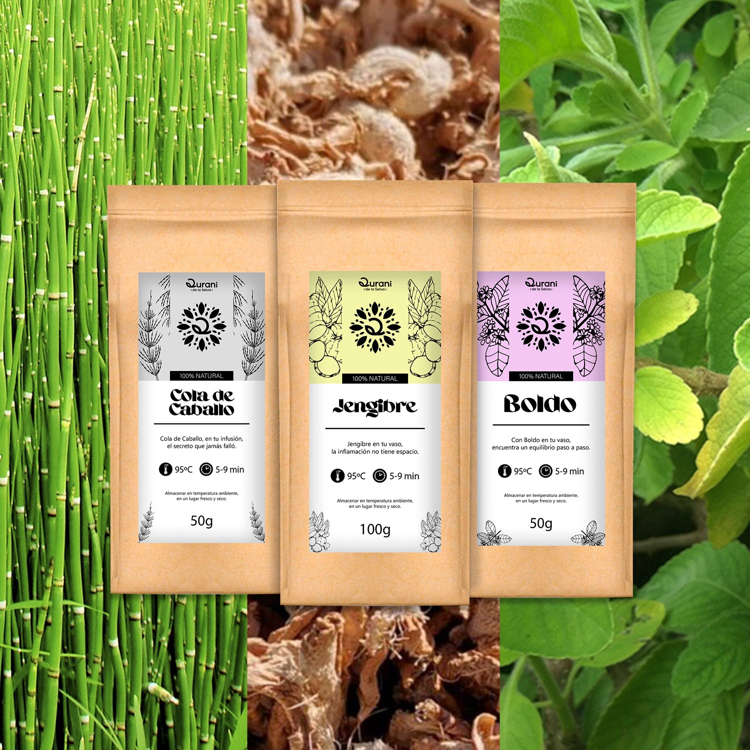 1.Descubre_las_mejores_plantas_para_reducir_la_inflamacion.jpg