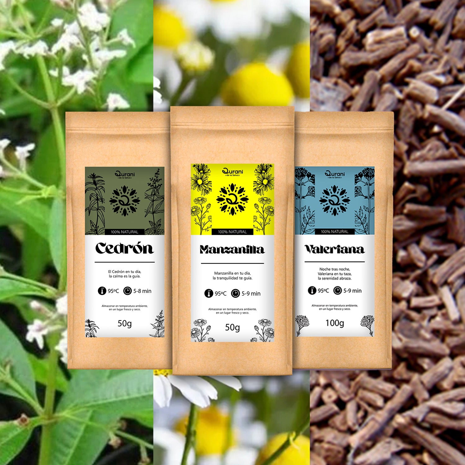 2.Tres_Plantas_para_Calmar-tu-Cuerpo-y-Mente-Valeriana-Manzanilla-y-Cedron.jpg