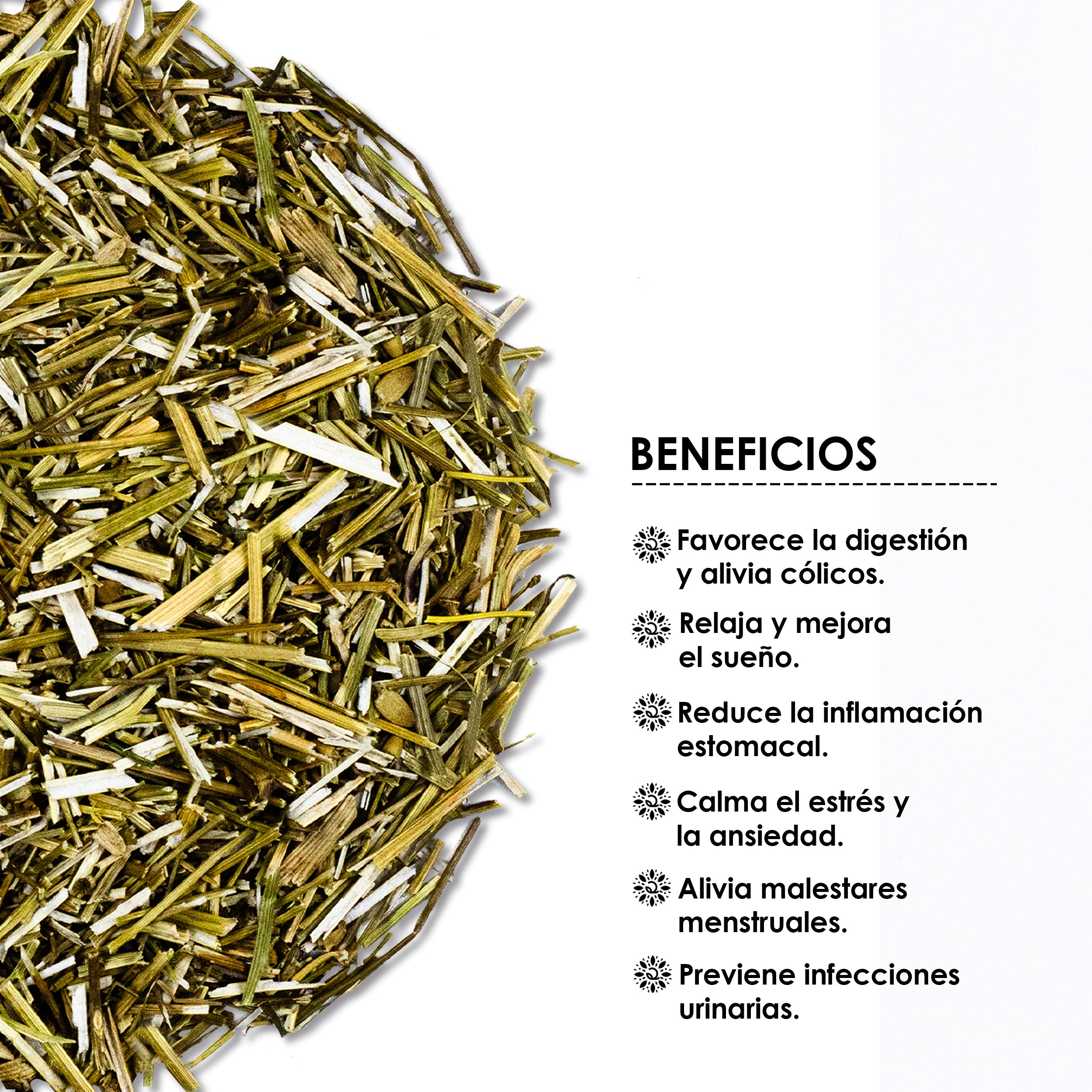 Infusión de  Manzanilla