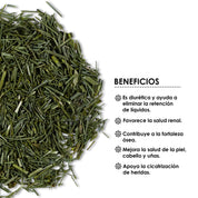 Infusión de Cola de Caballo