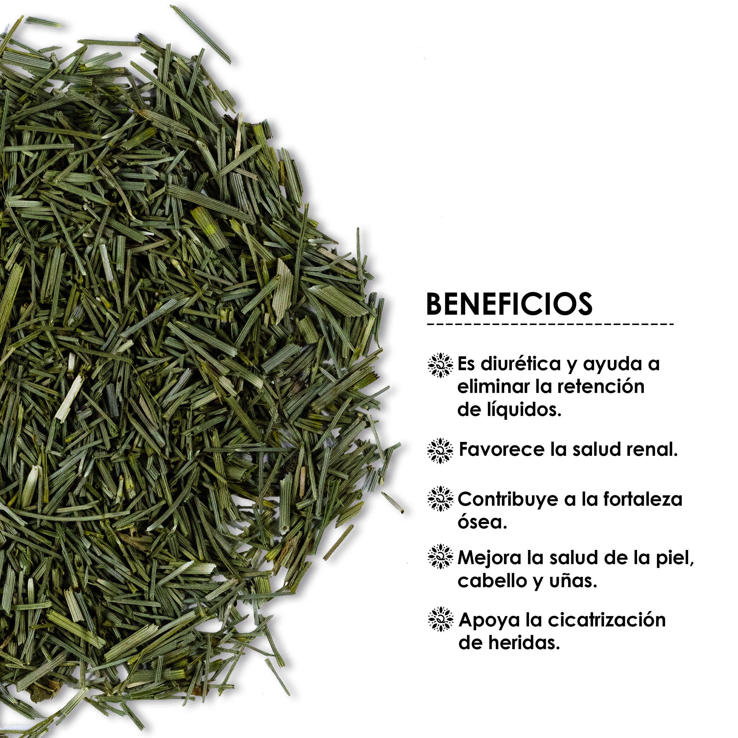 Infusión de Cola de Caballo