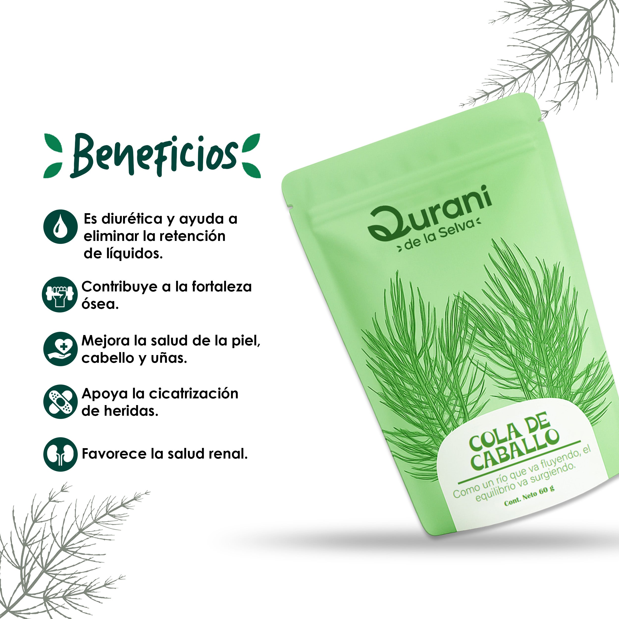 Infusión de Cola de Caballo