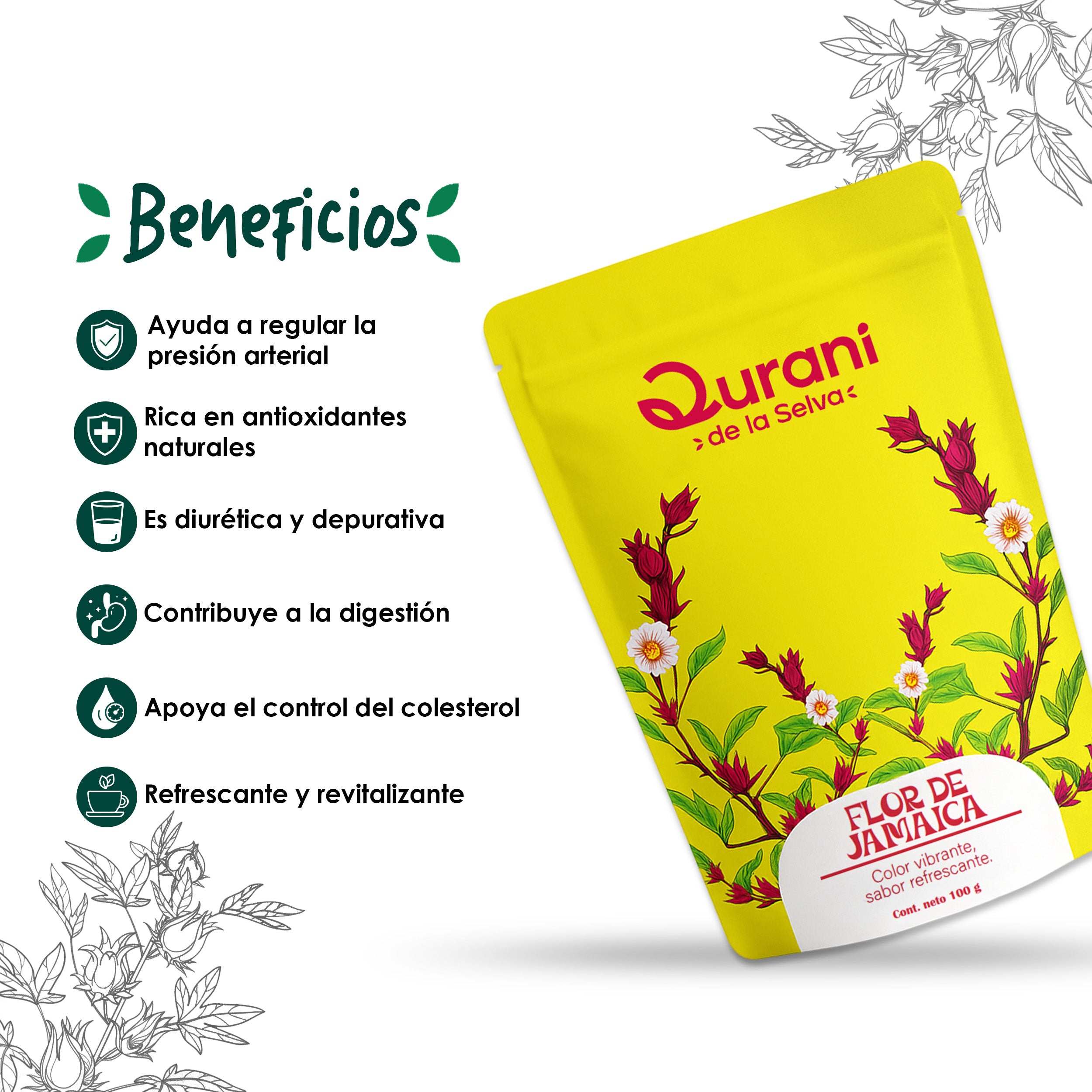 Infusión de Flor de Jamaica