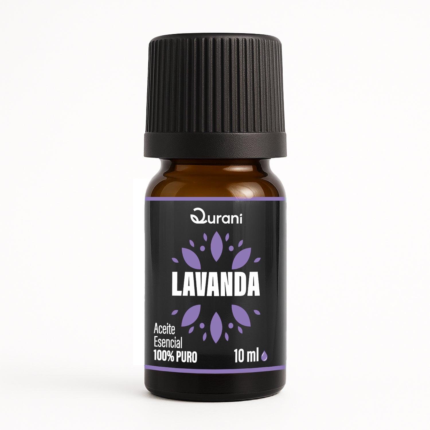LAVANDA.jpg