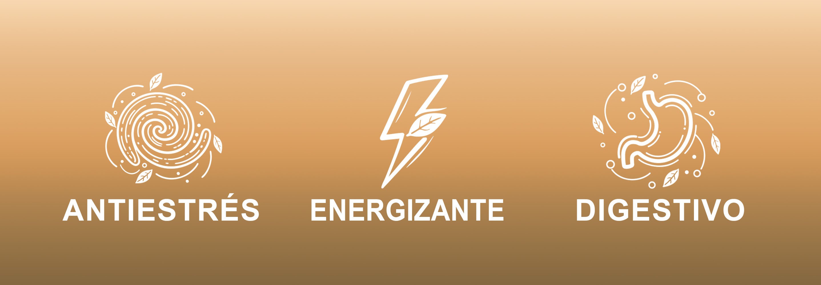 BANNER-_FUNCIONALES.jpg