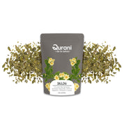 Infusión de Boldo