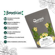 Infusión de Boldo
