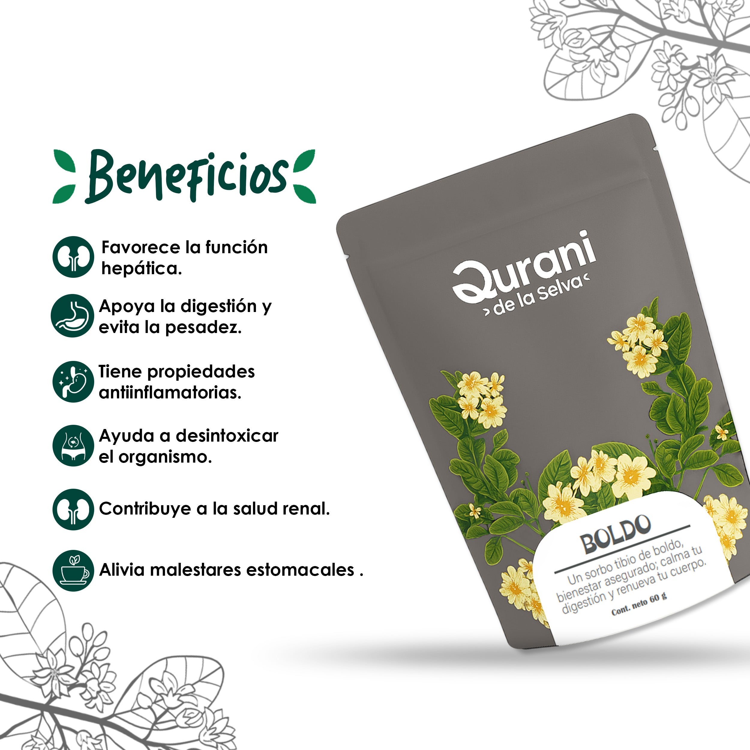 Infusión de Boldo
