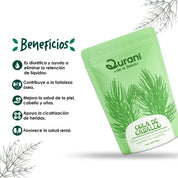 Infusión de Cola de Caballo