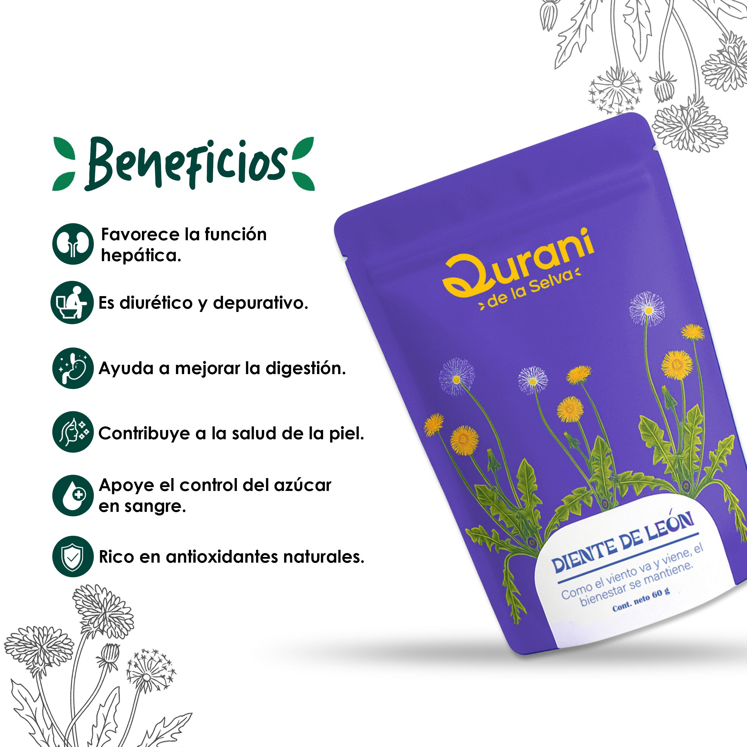 DIENTEDELEON_3181b9e3-e5fb-454d-a93a-85888f2d1484.jpg
