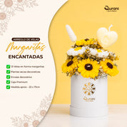 Margaritas Encantadas