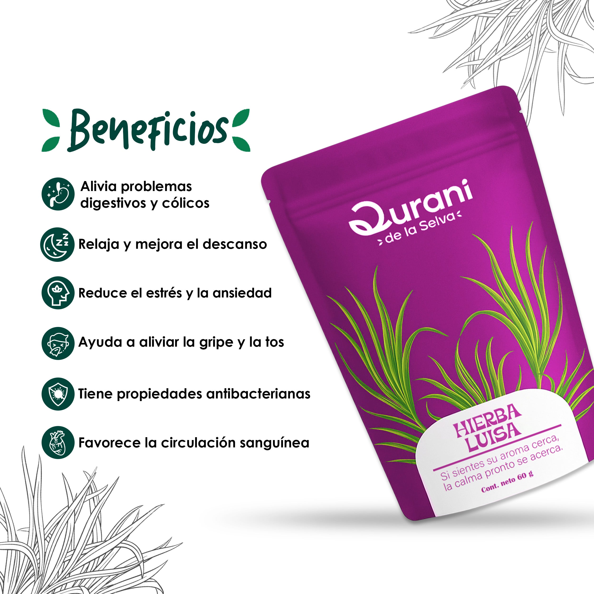Infusión de Hierba Luisa
