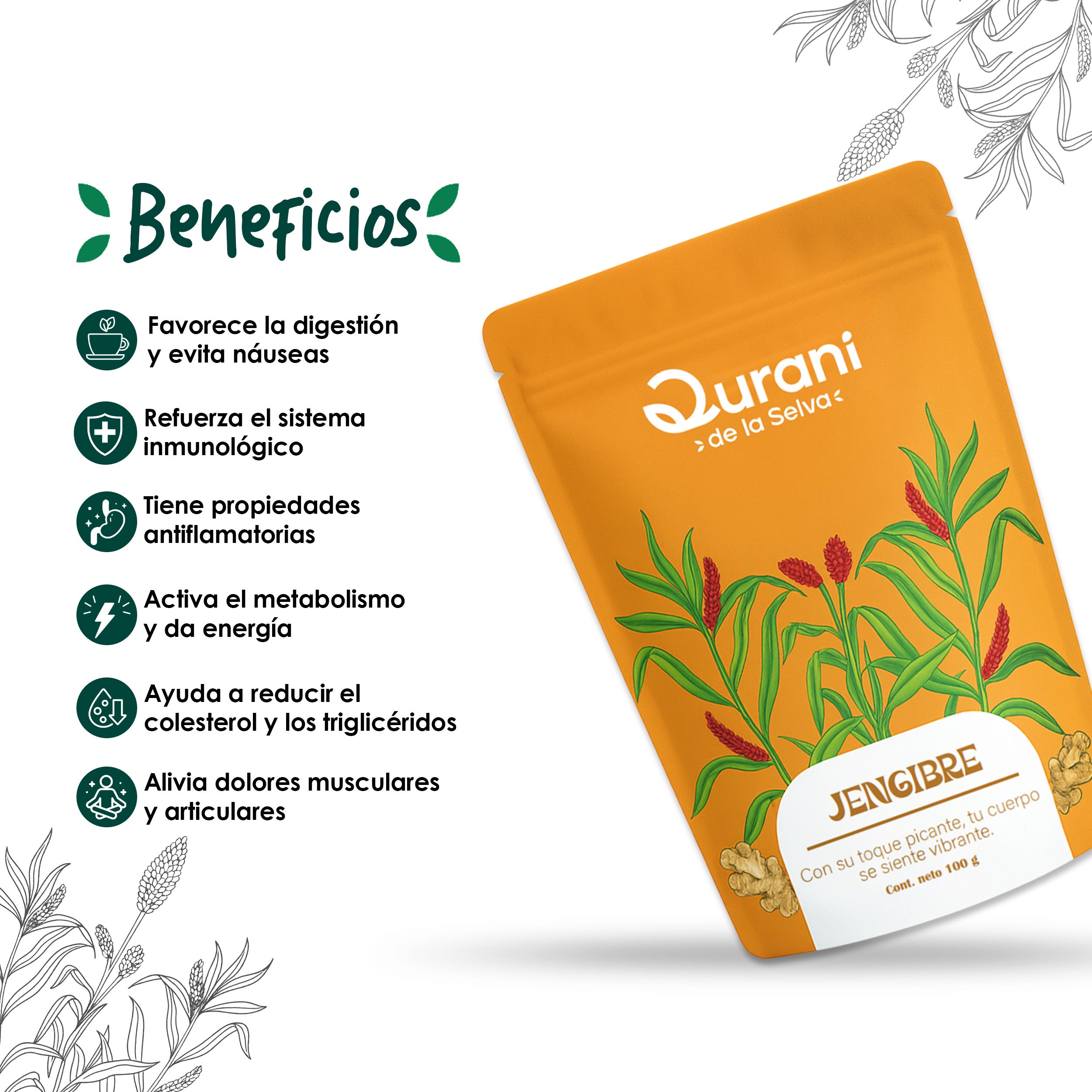 Infusión de Jengibre