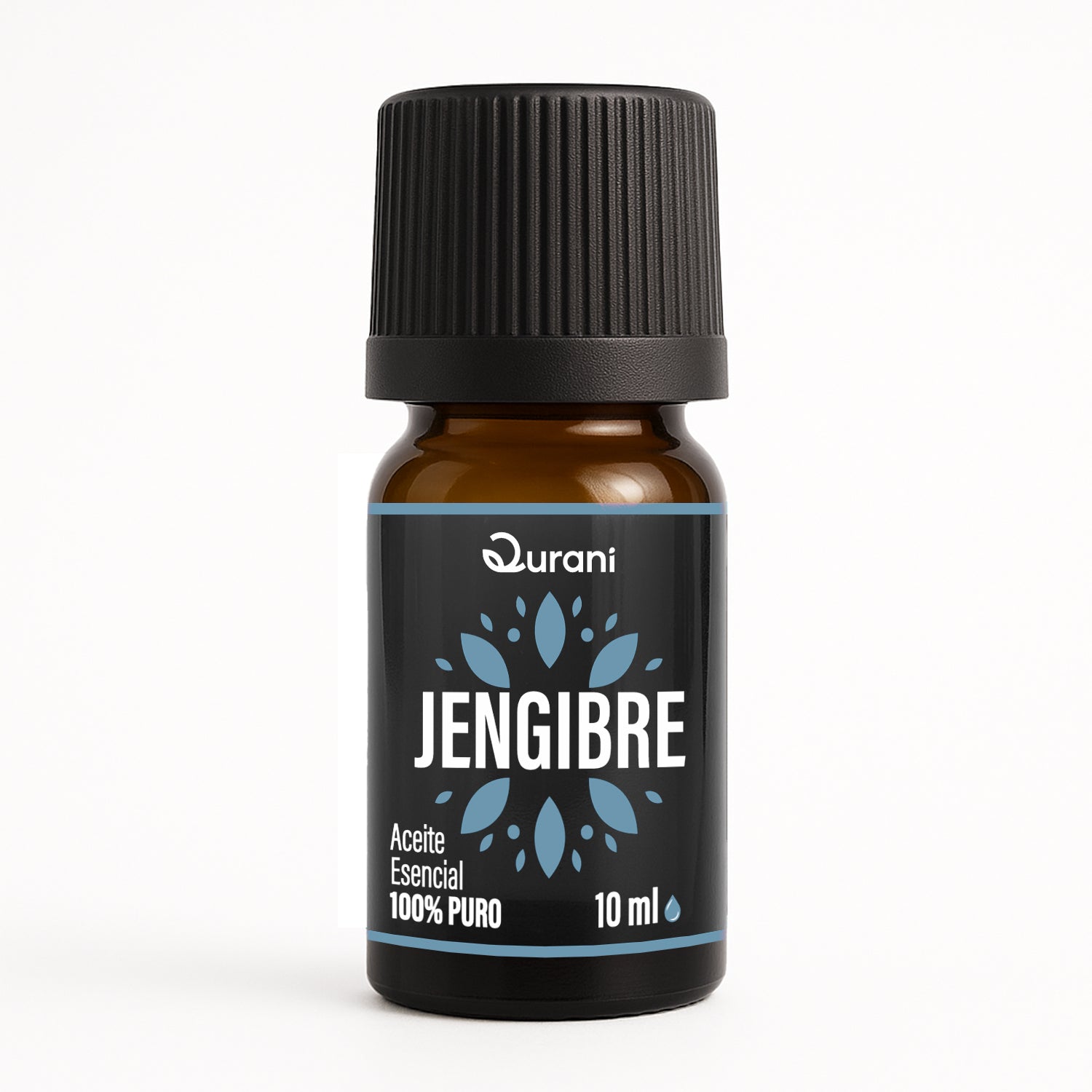 JENGIBRE_9a0d5bf9-269f-46f0-bb67-2686da27bf3d.jpg