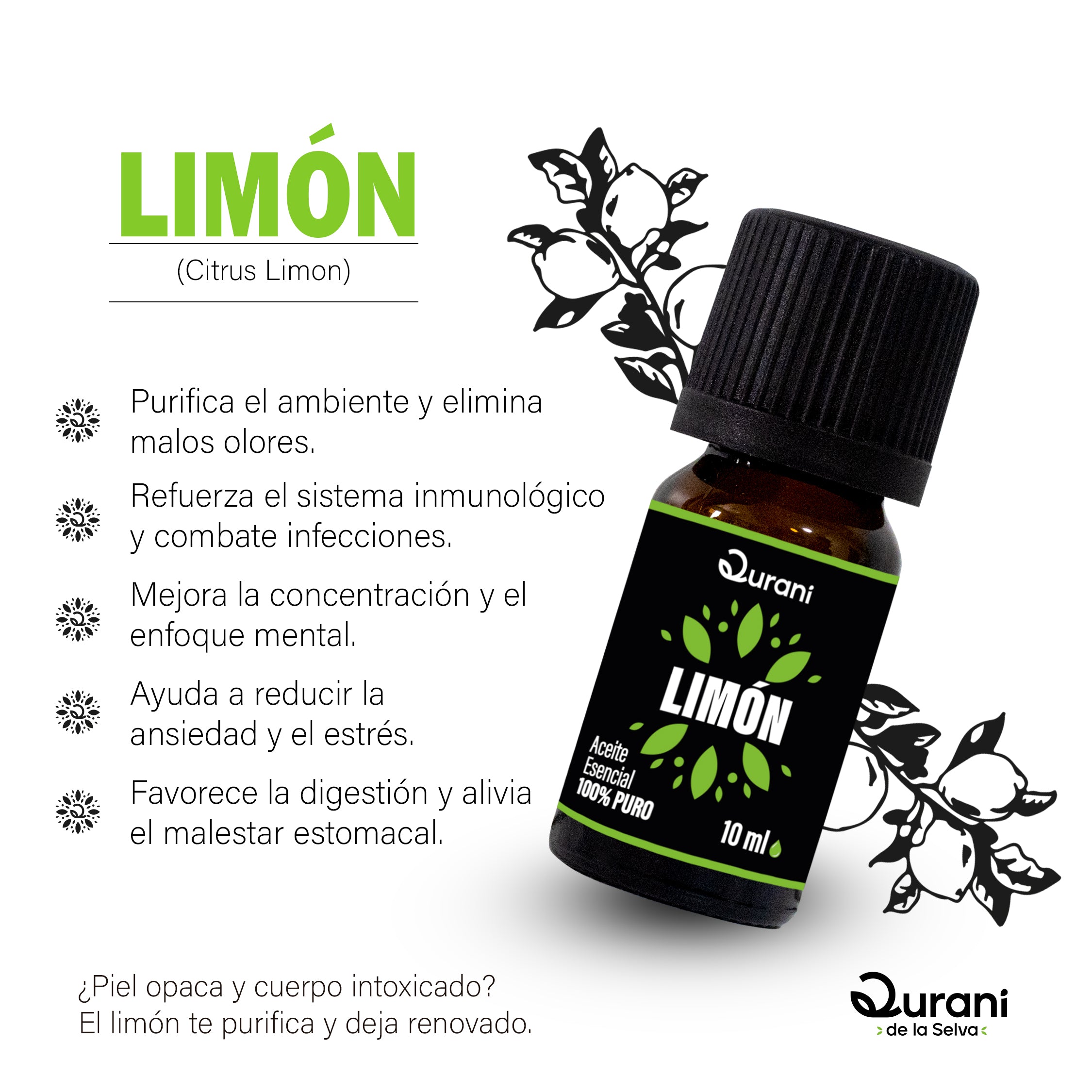 Las_Escencias_y_sus_plantas_-_Qurani_-_Limon.jpg