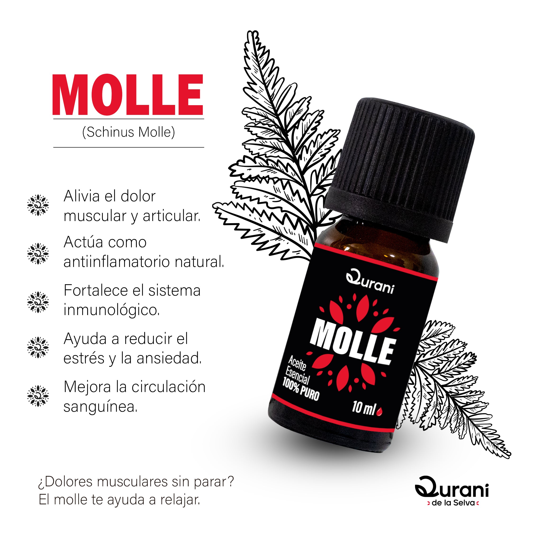 Las_Escencias_y_sus_plantas_-_Qurani_-_Molle.jpg