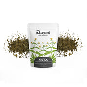 Infusión de Matico