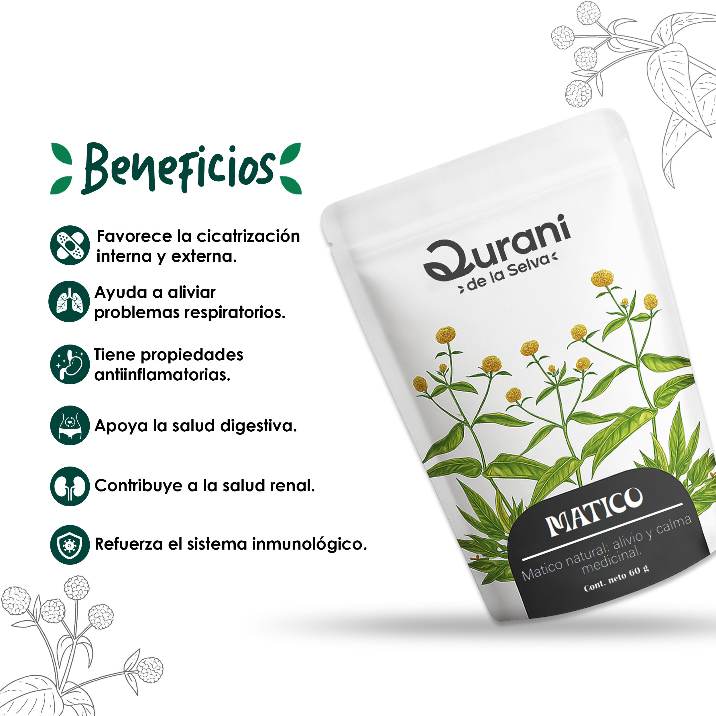 Infusión de Matico