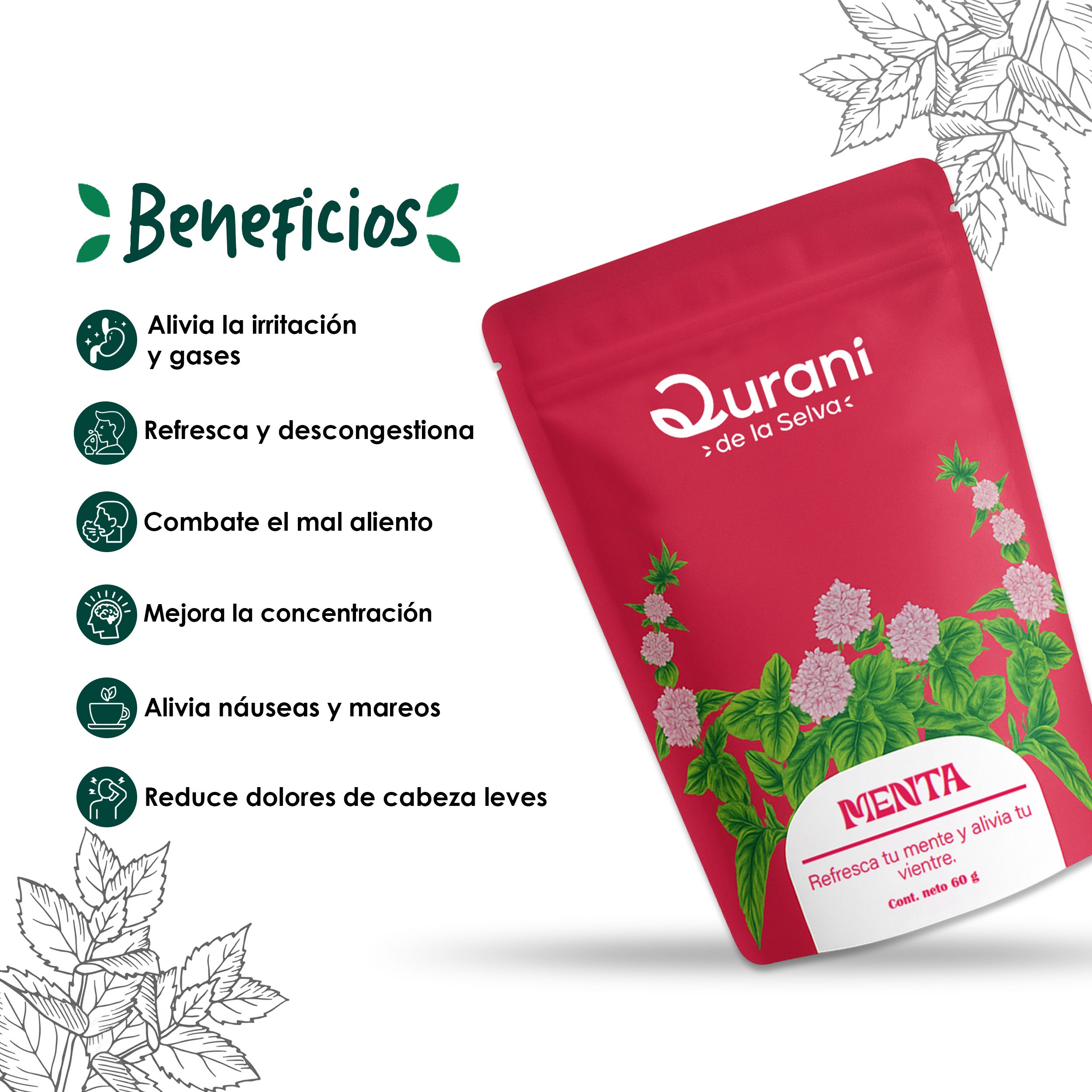 Infusión de Menta