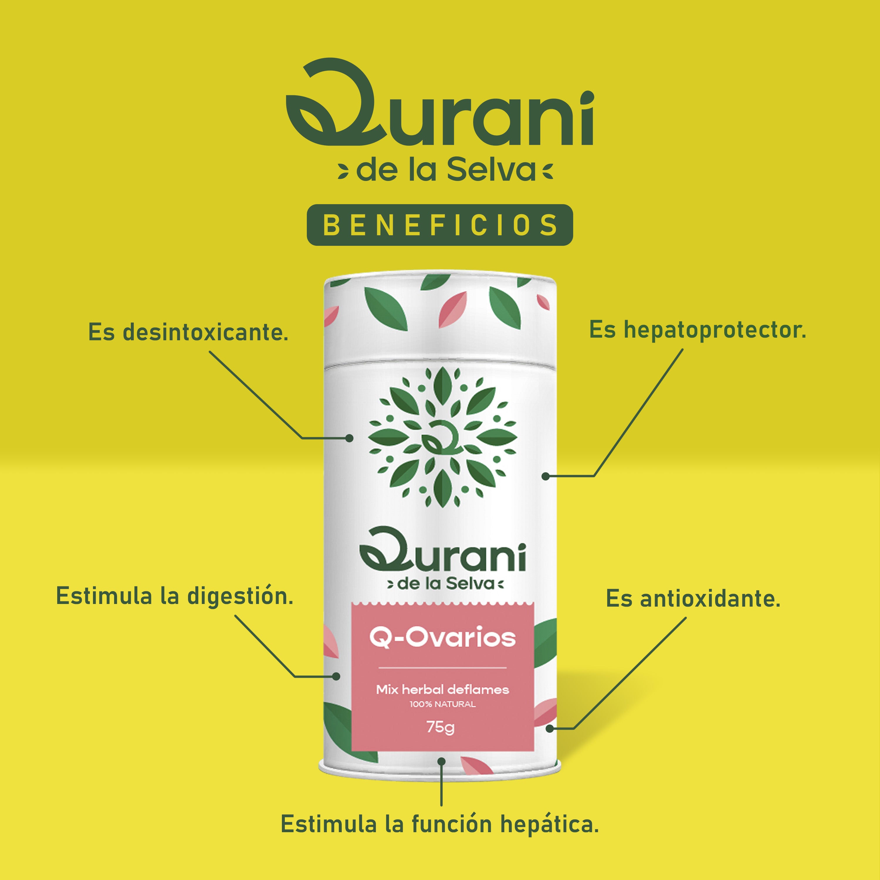 QURANI OVARIOS