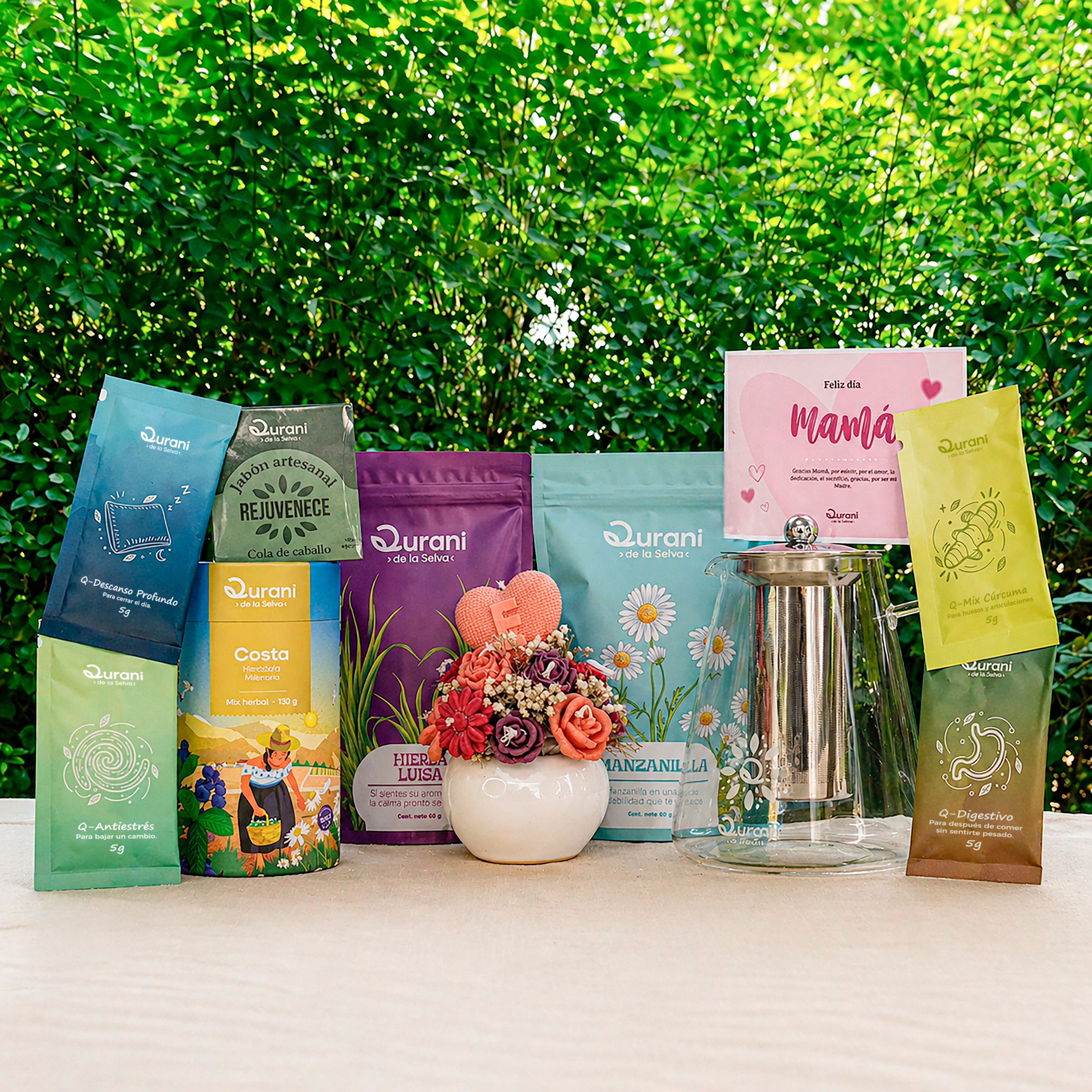 Pack Hortensia