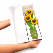 Box de Velas – 3 Girasoles