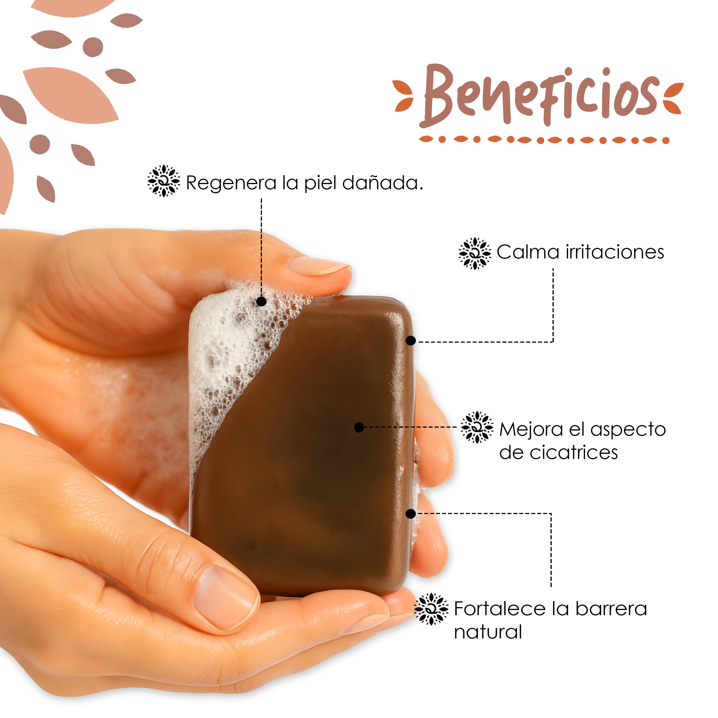 REGENERA_e96312d3-25a6-40e9-8615-949ee98e7175.jpg