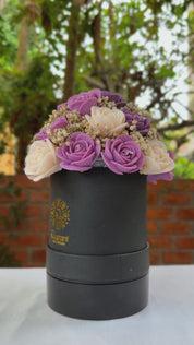 Buchón Morado